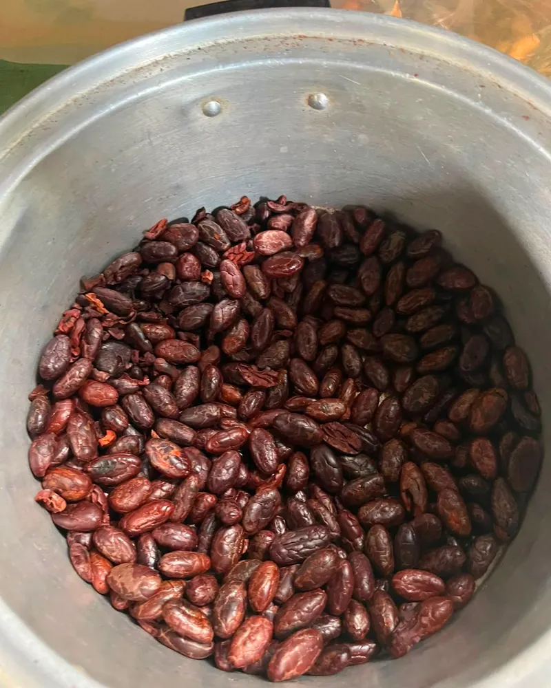 Cacao 7